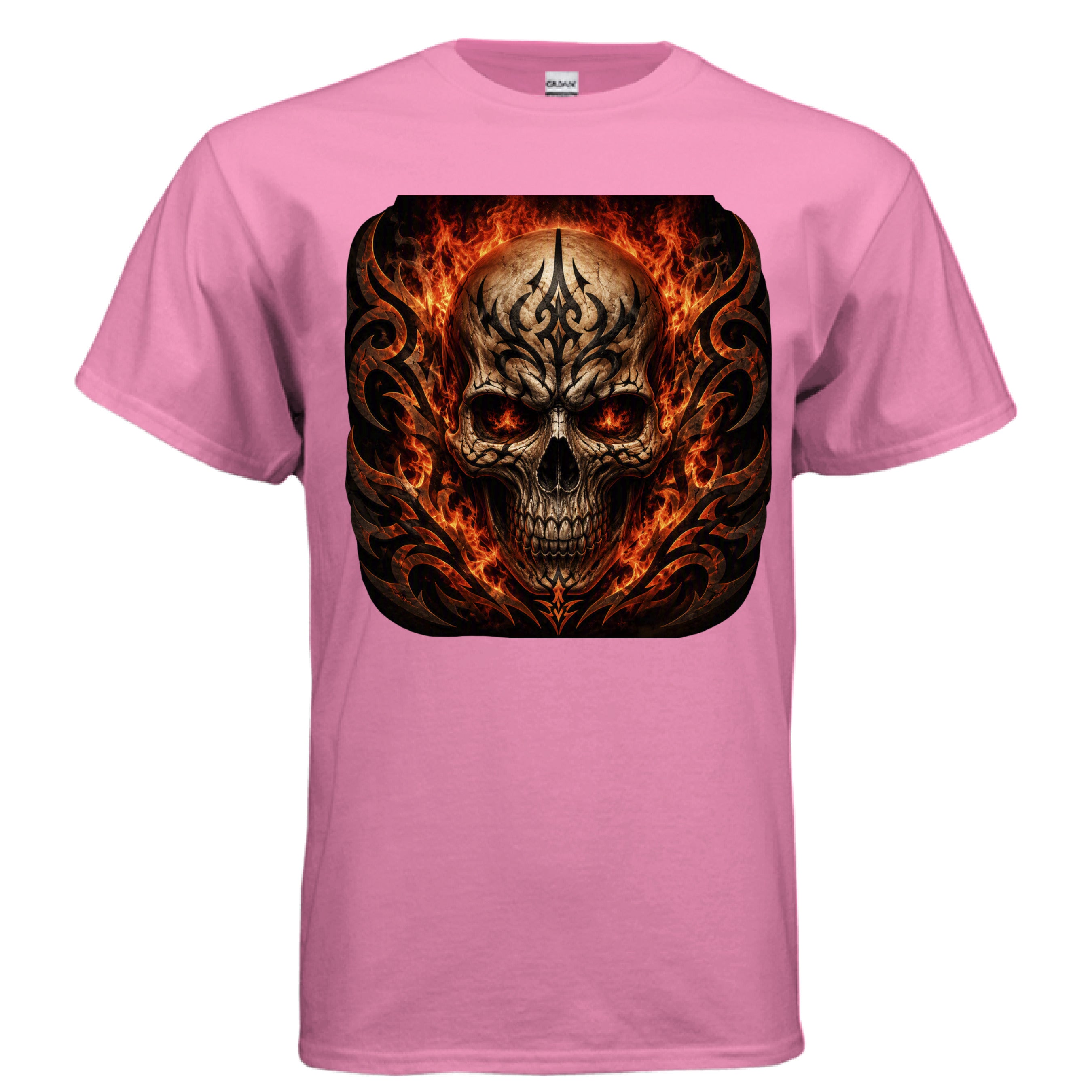 ndm:135793